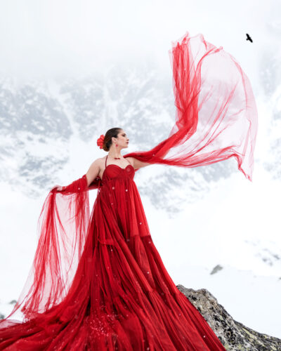 Collection féérie d'hiver
